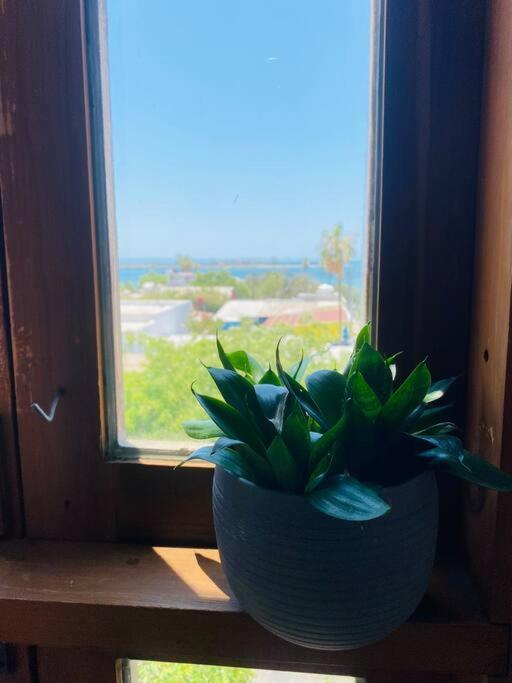 Appartement Casa Bahia 2 Blocks Malecon Amaizing Ocean View à La Paz Extérieur photo