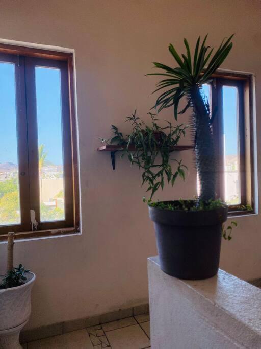 Appartement Casa Bahia 2 Blocks Malecon Amaizing Ocean View à La Paz Extérieur photo
